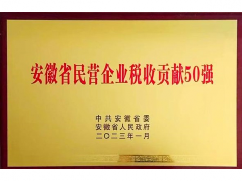 安徽省民营企业税收贡献50强